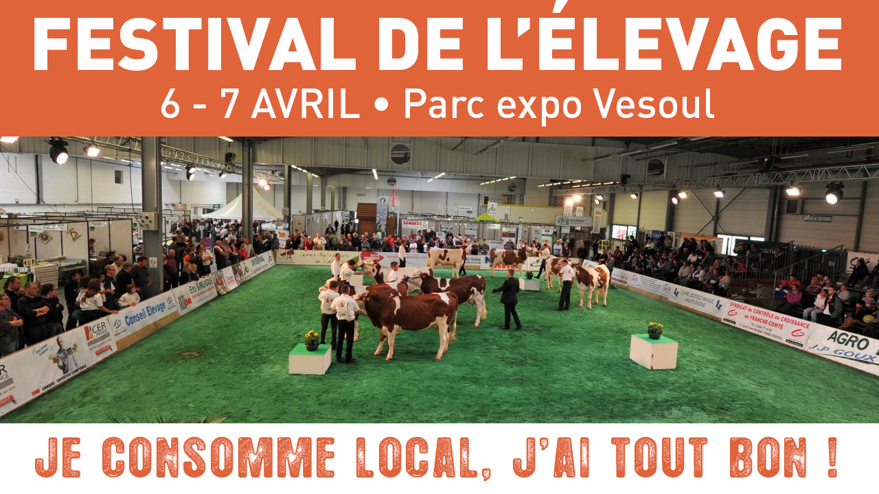 Festival de l’Élevage : une réussite à tous les niveaux ! 