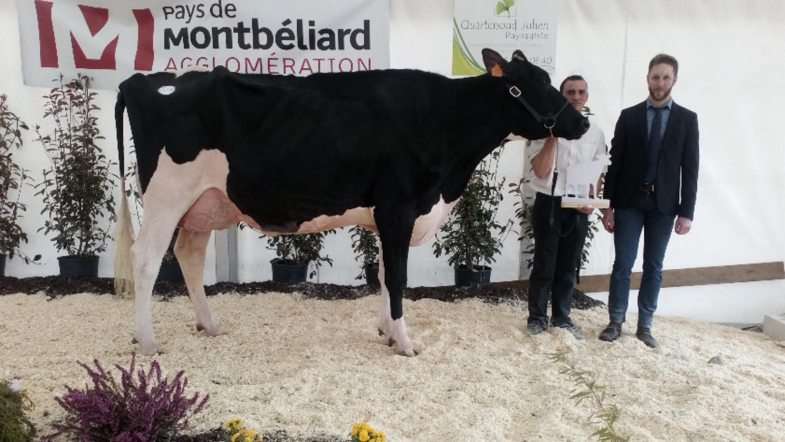 Les  Prim’Holstein en concours à l’Axone