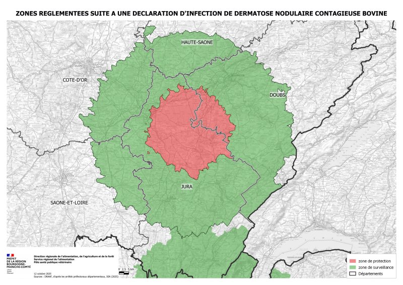 Dermatose Nodulaire Contagieuse, notre territoire impacté.