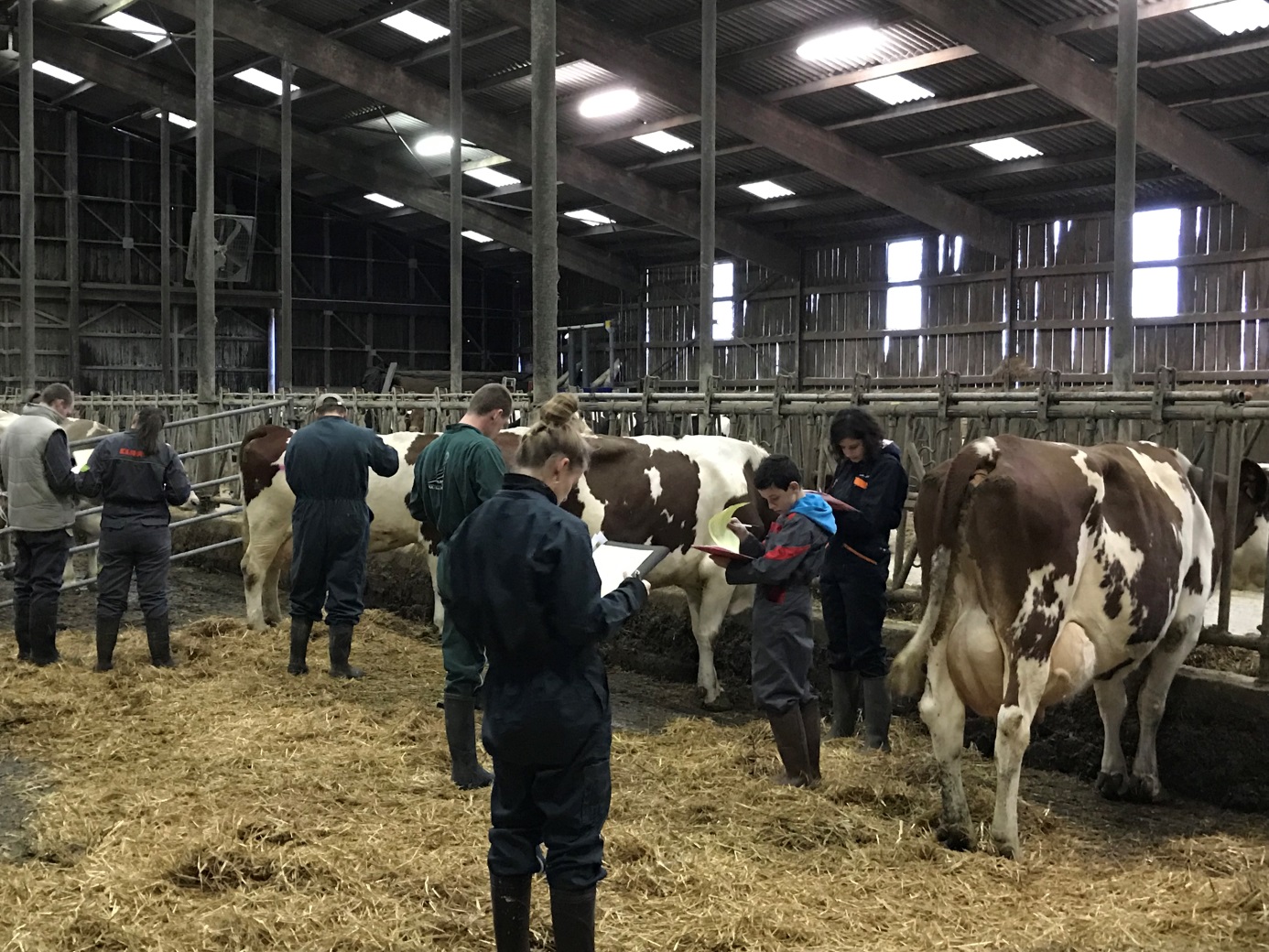 Concours de pointage du Territoire de Belfort