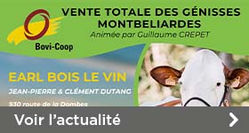 Vente aux enchères BOVI-COOP : catalogue disponible