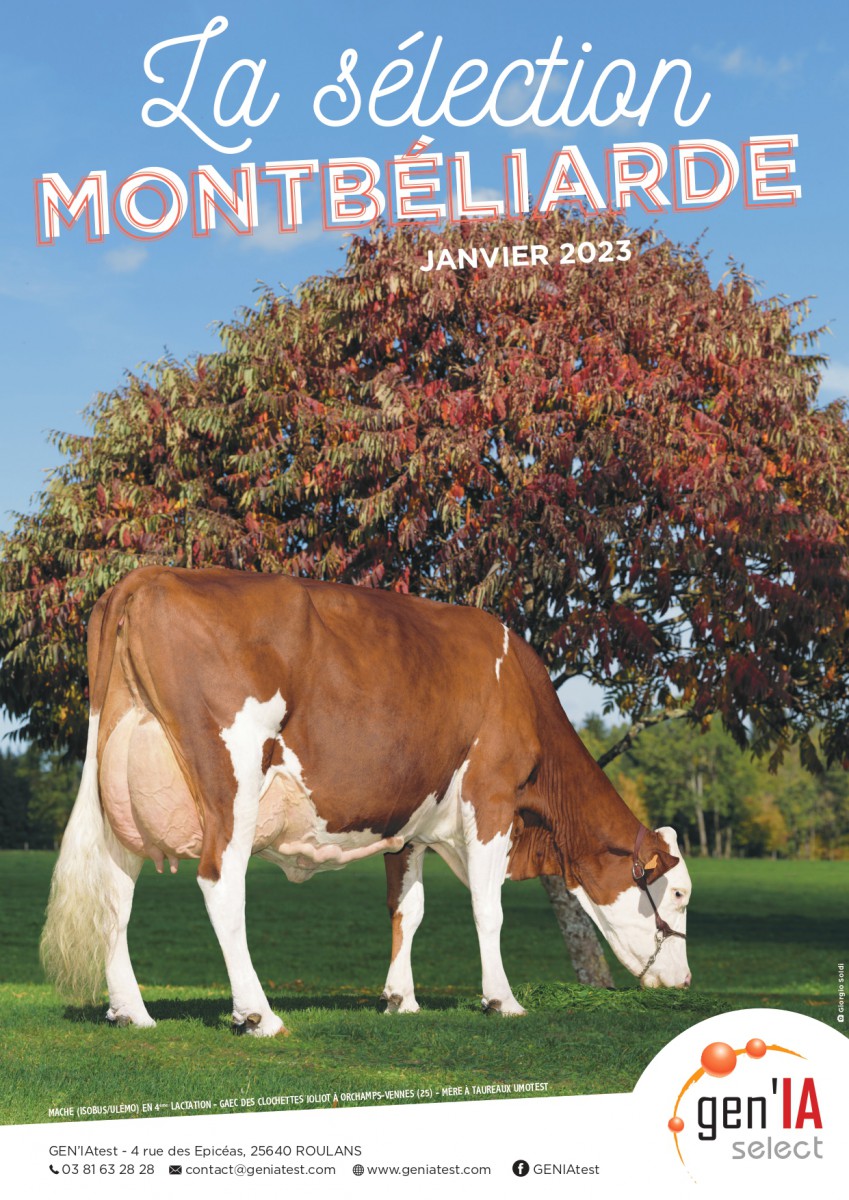 GEN'IAselect Montbéliarde Janvier 2023