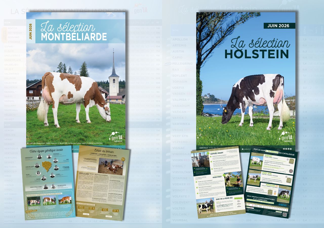 GEN'IAselect  Montbéliarde et Prim'Holstein été 2026