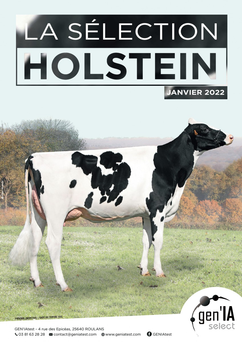 GEN'IAselect Prim'Holstein