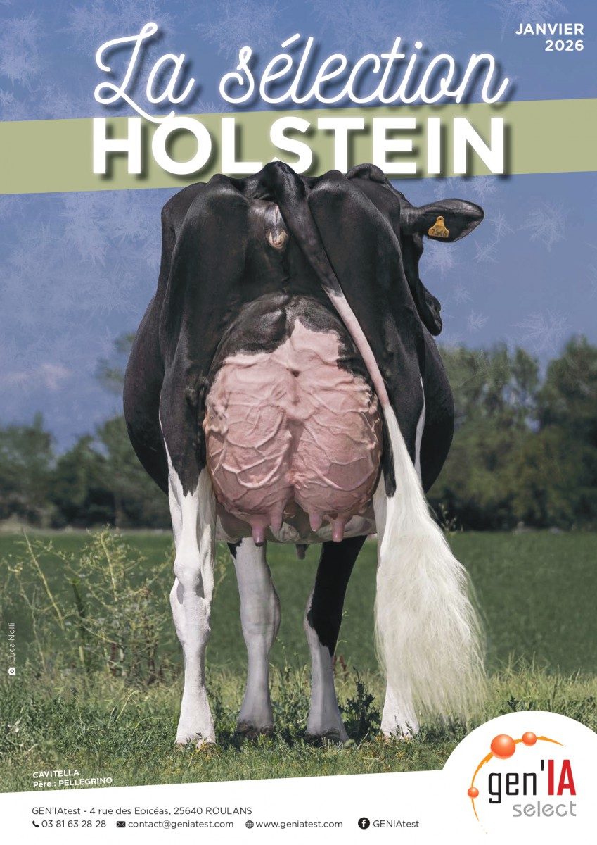 GEN'IAselect Prim'Holstein Janvier 2026
