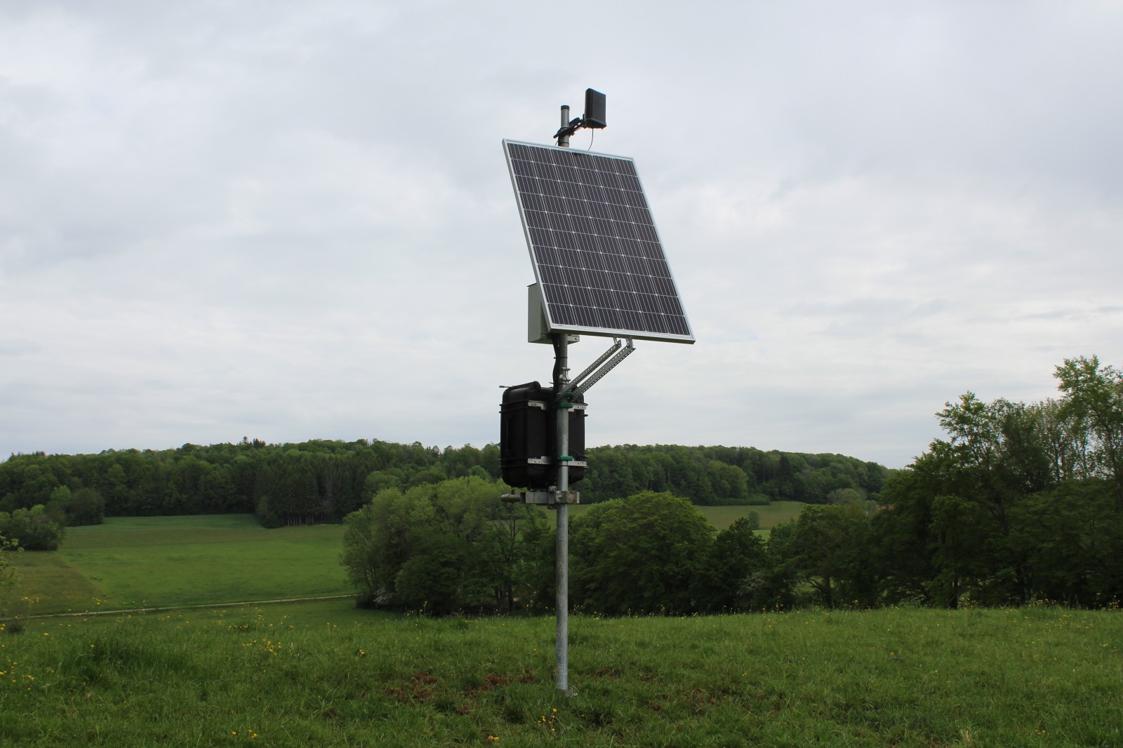 Une station solaire pour les génisses