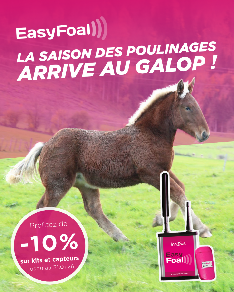 OFFRES EASYFOAL
