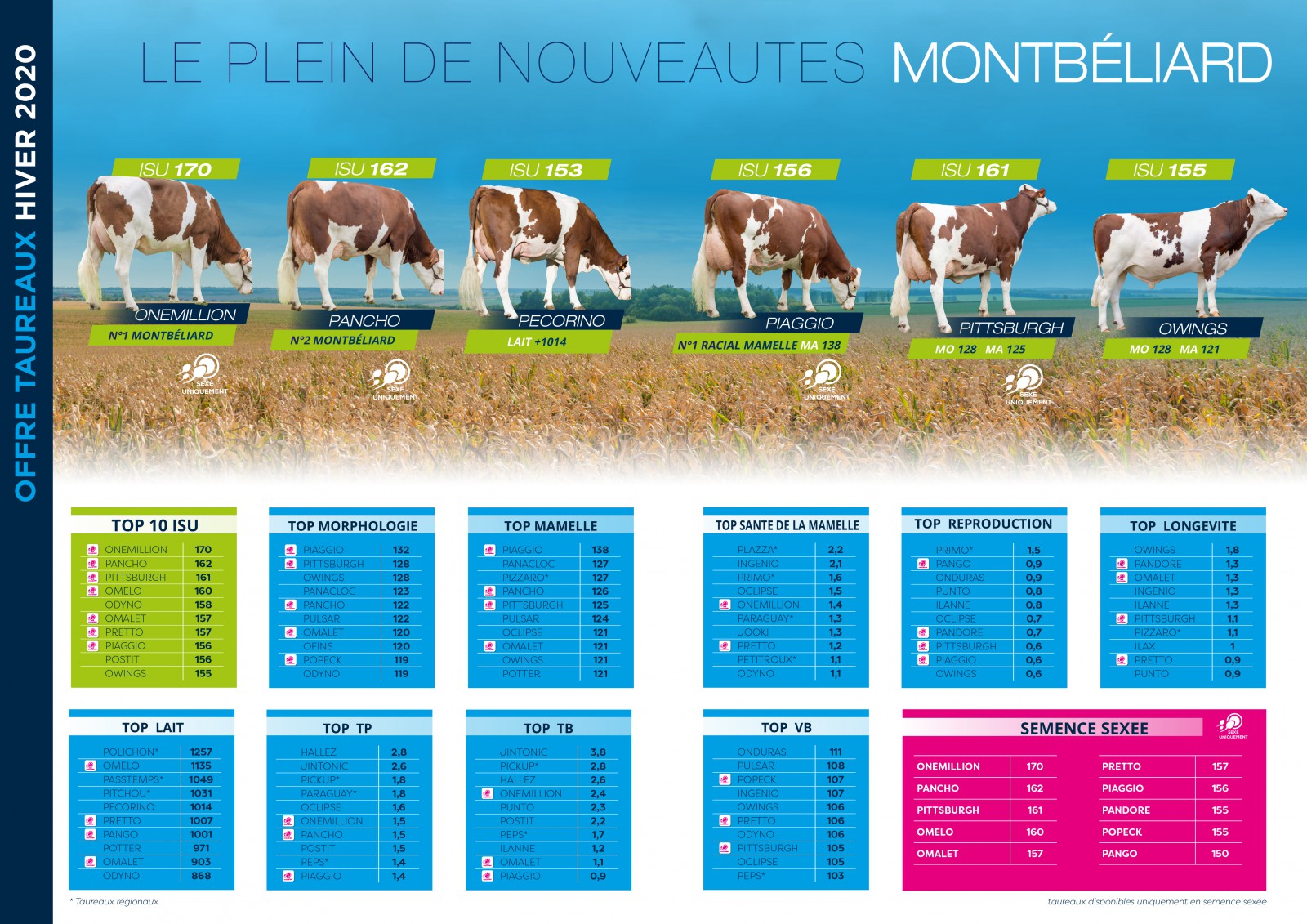 Communiqué gamme taureaux UMOTEST