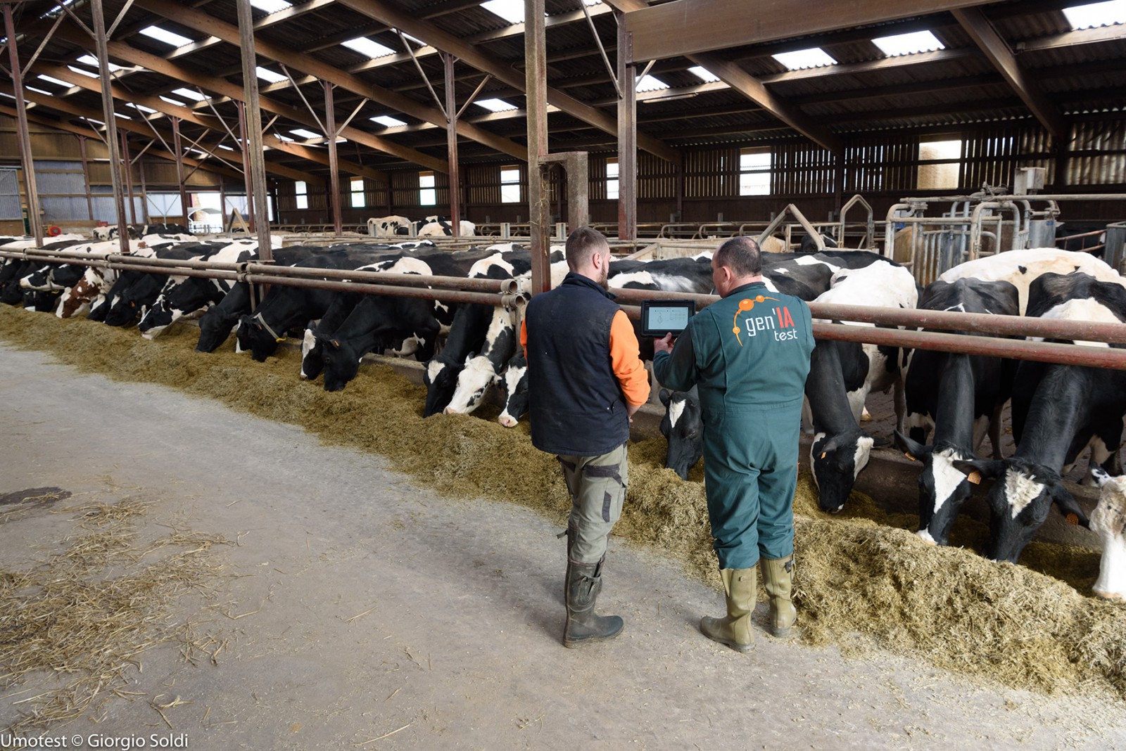 GEN'IAtest recrute un Technicien Diffusion et Création en race Holstein (H/F)