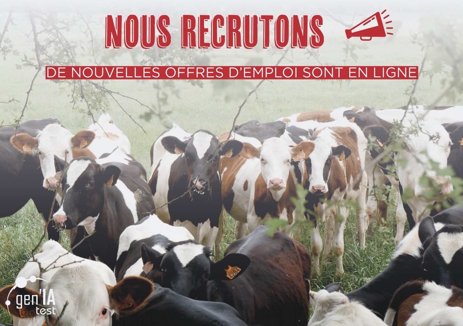 Nous recrutons !