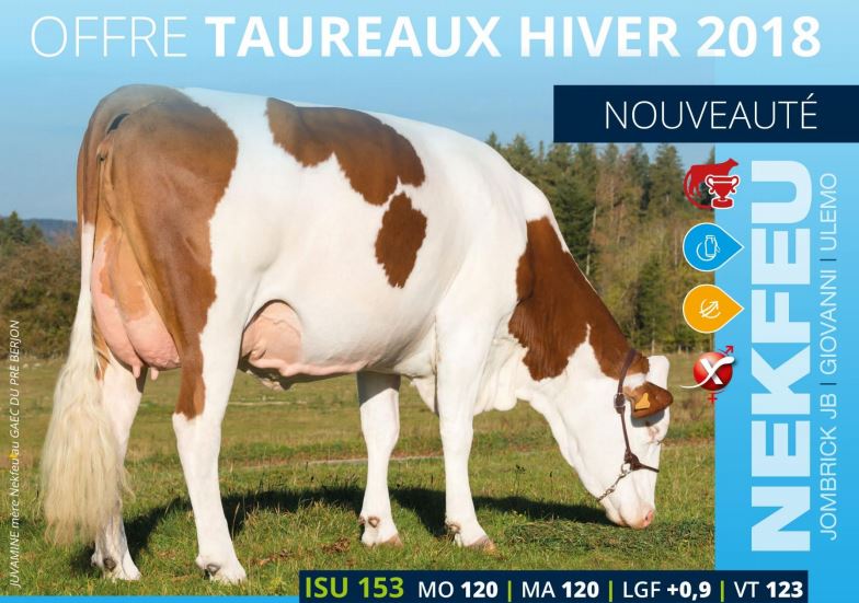 Sortie d'index hiver 2018