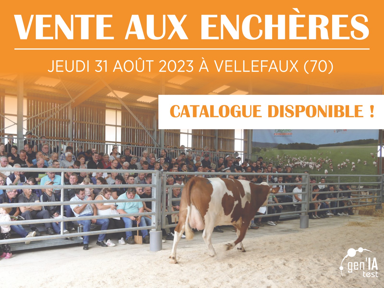 VENTE AUX ENCHERES 2023