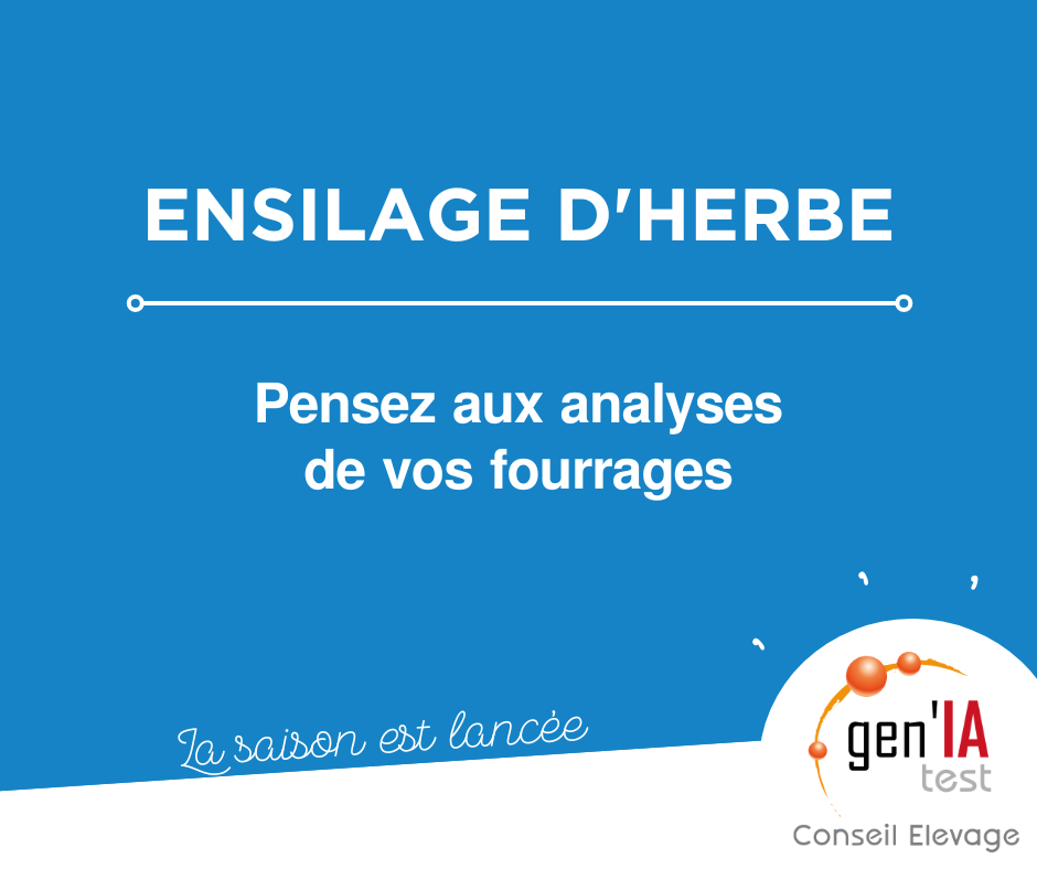 Ensilage d'herbe