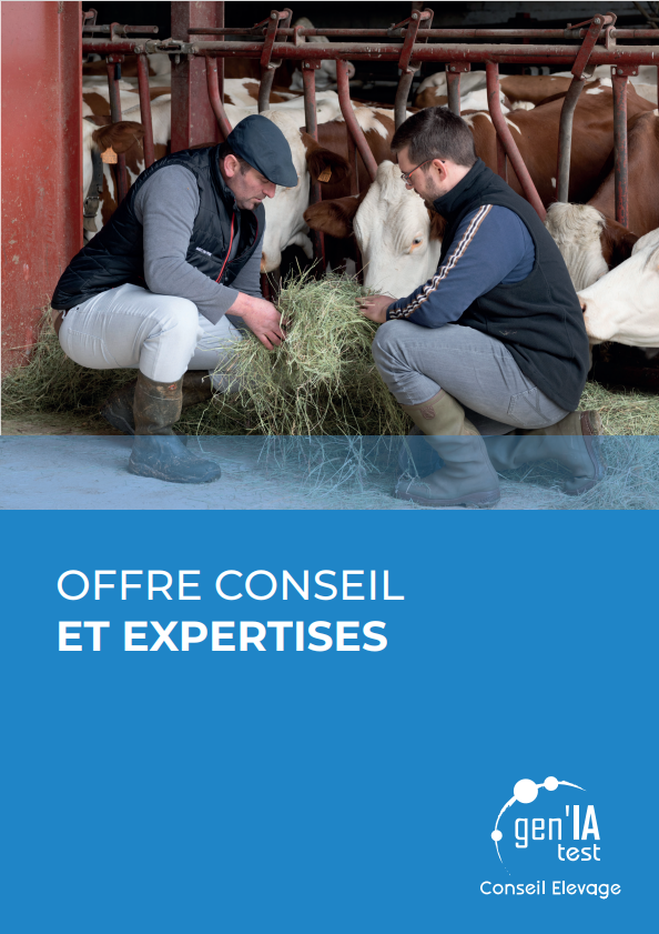 Offre conseil et expertises