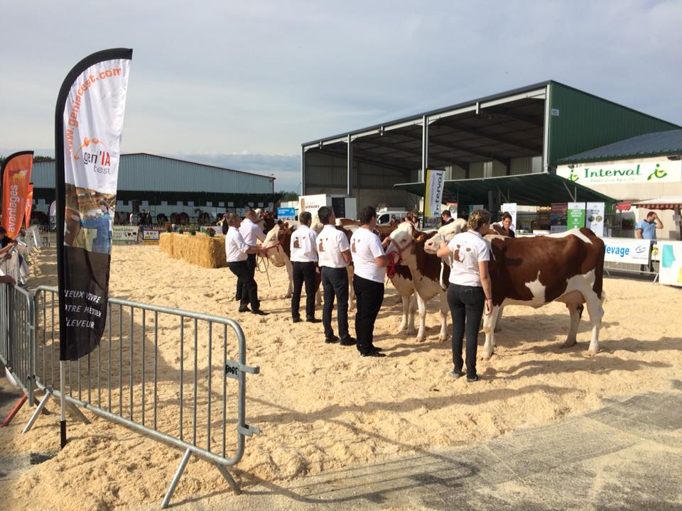 Concours de Lure-Noroy-Saulx