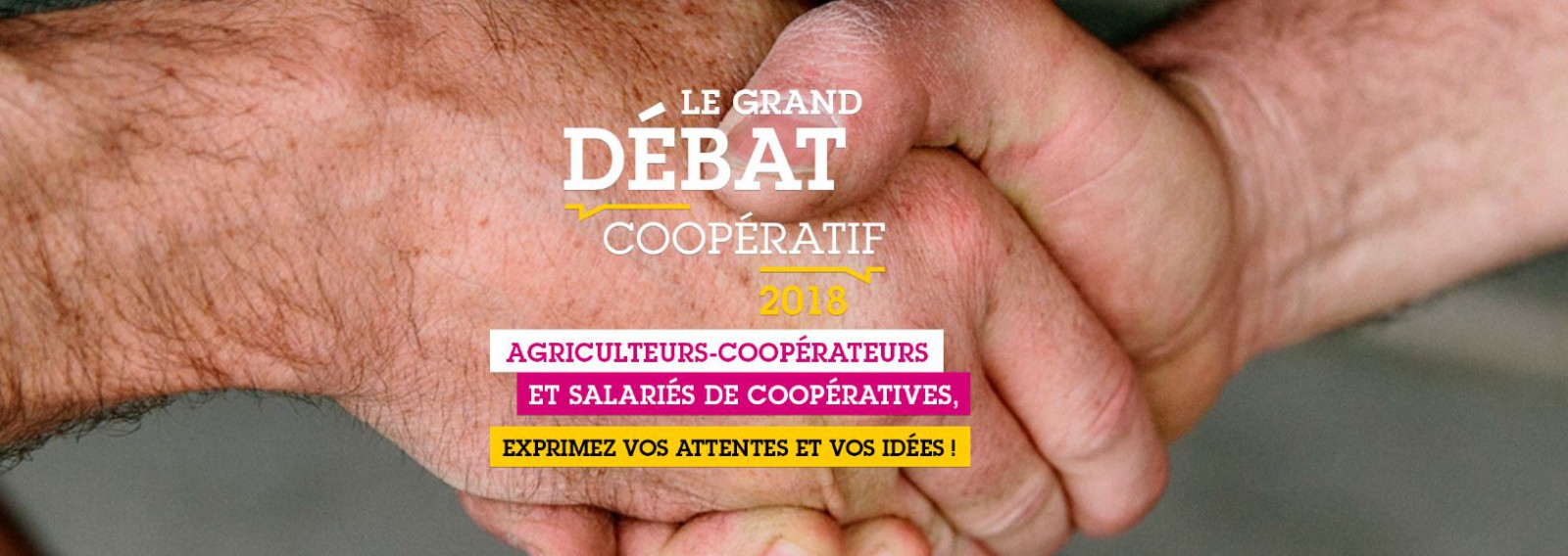 Grand Débat Coopératif - votre avis compte