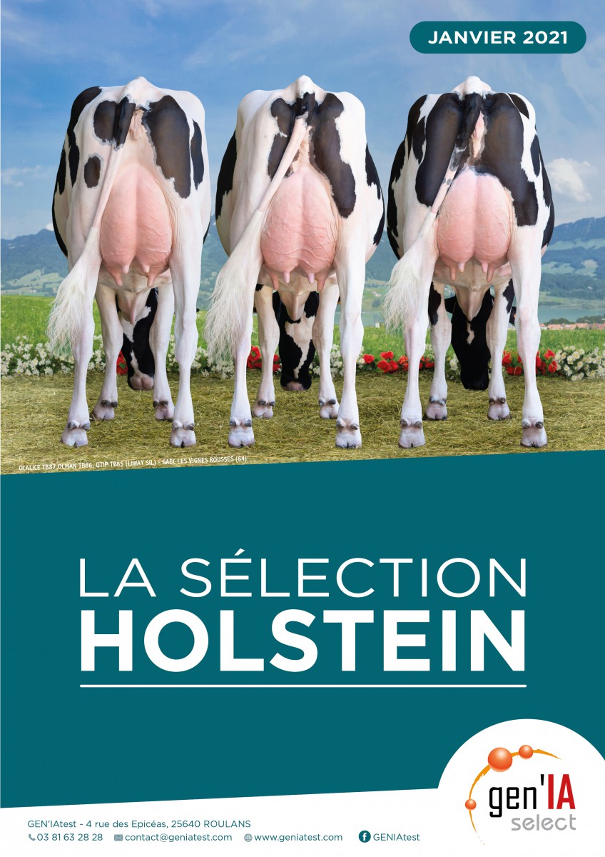 GEN'IAselect Prim'Holstein