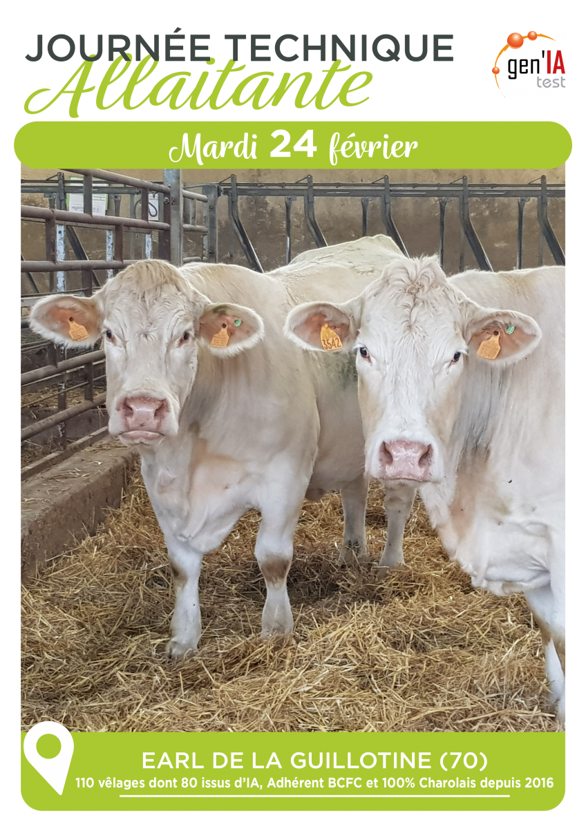 Journée technique Allaitante