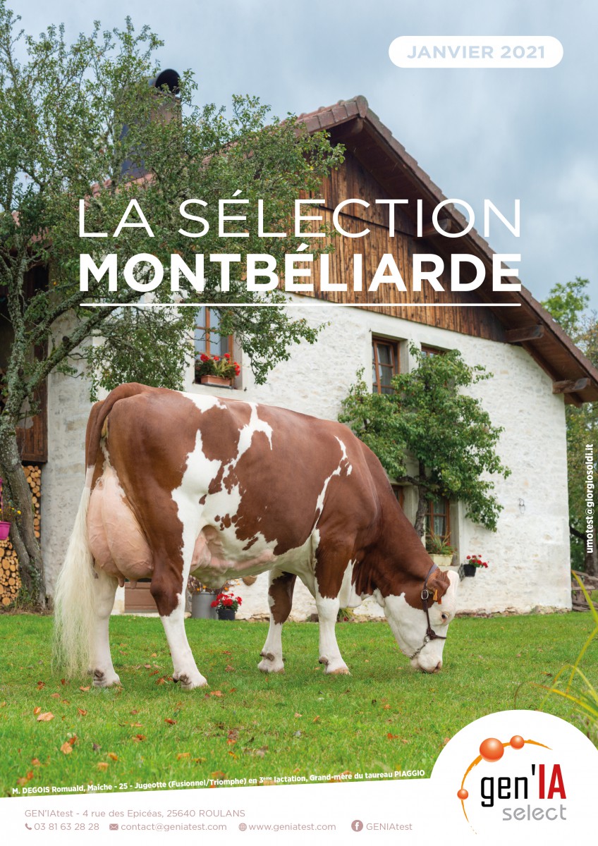 GEN'IAselect Montbéliard