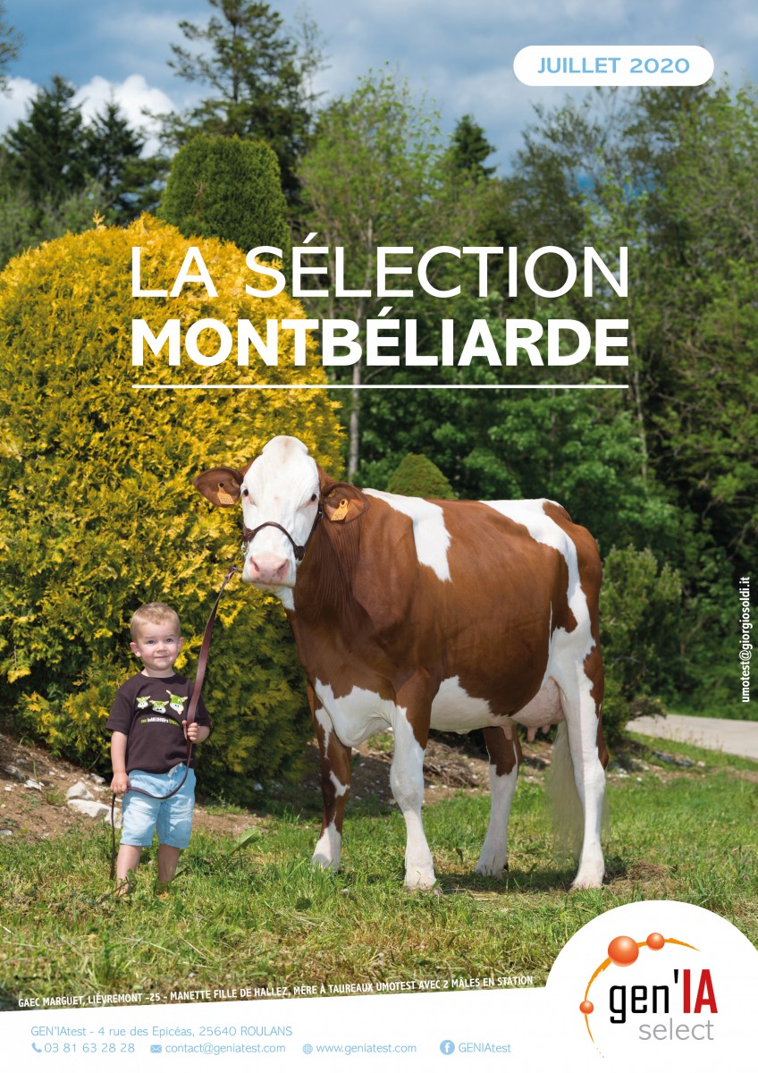 GEN'IAselect Montbéliarde