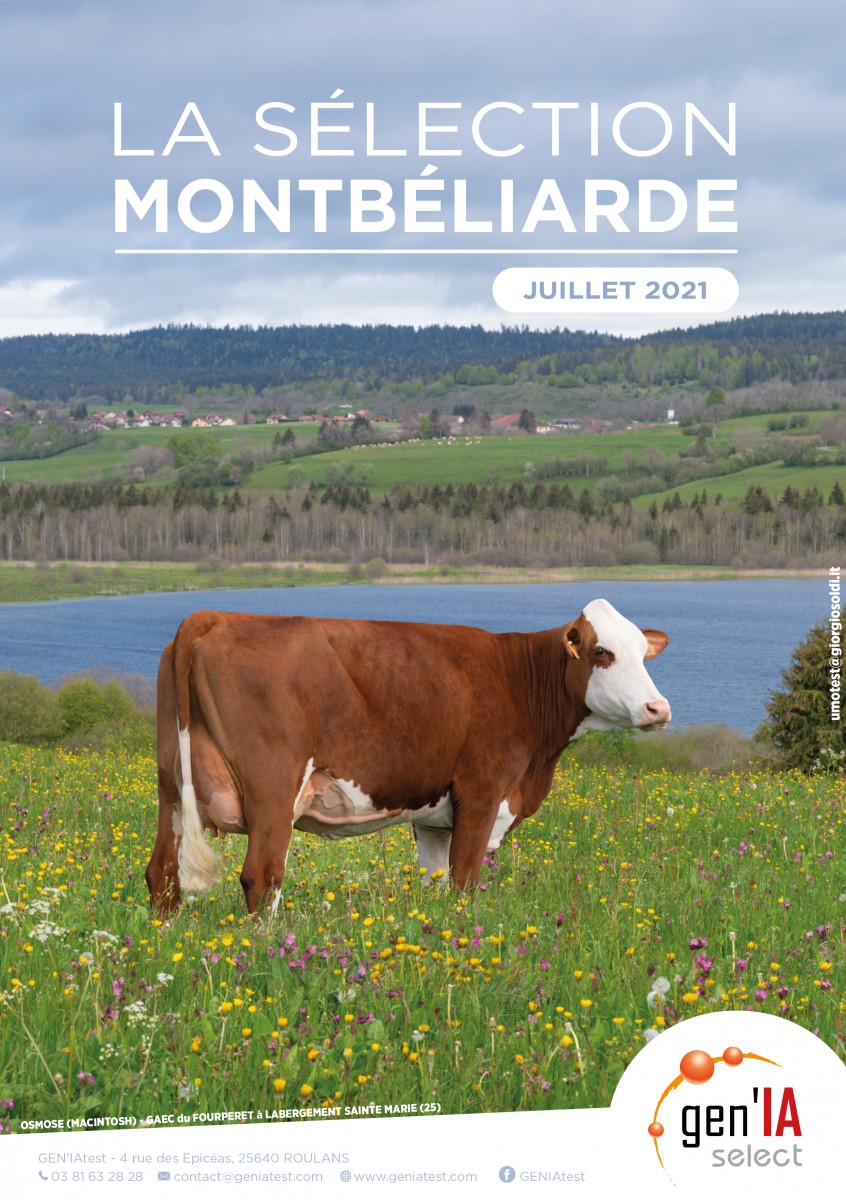 GEN'IAselect Montbéliarde