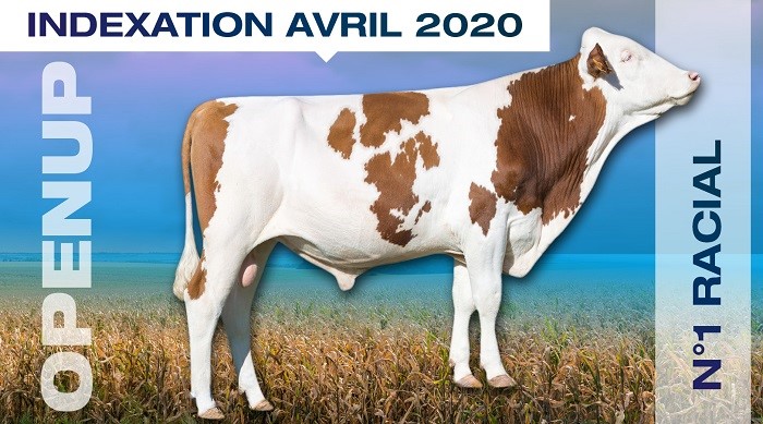 Indexation avril 2020