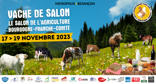 Vente aux enchères - VACHE DE SALON 2023